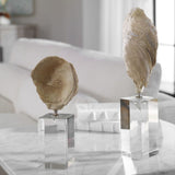 Aged Ivory Sculptures (3) | Uttermost Oyster Shell - www.oroa.com