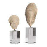 Aged Ivory Sculptures (3) | Uttermost Oyster Shell - www.oroa.com