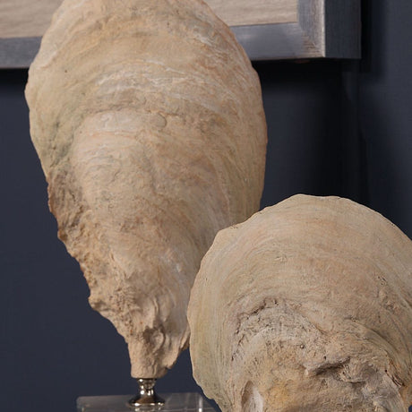 Aged Ivory Sculptures (3) | Uttermost Oyster Shell - www.oroa.com