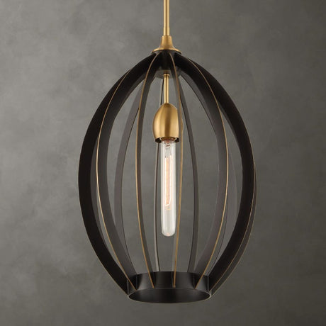 Modern European furniture - Bronze Oval Pendant Lamp - www.oroa.com