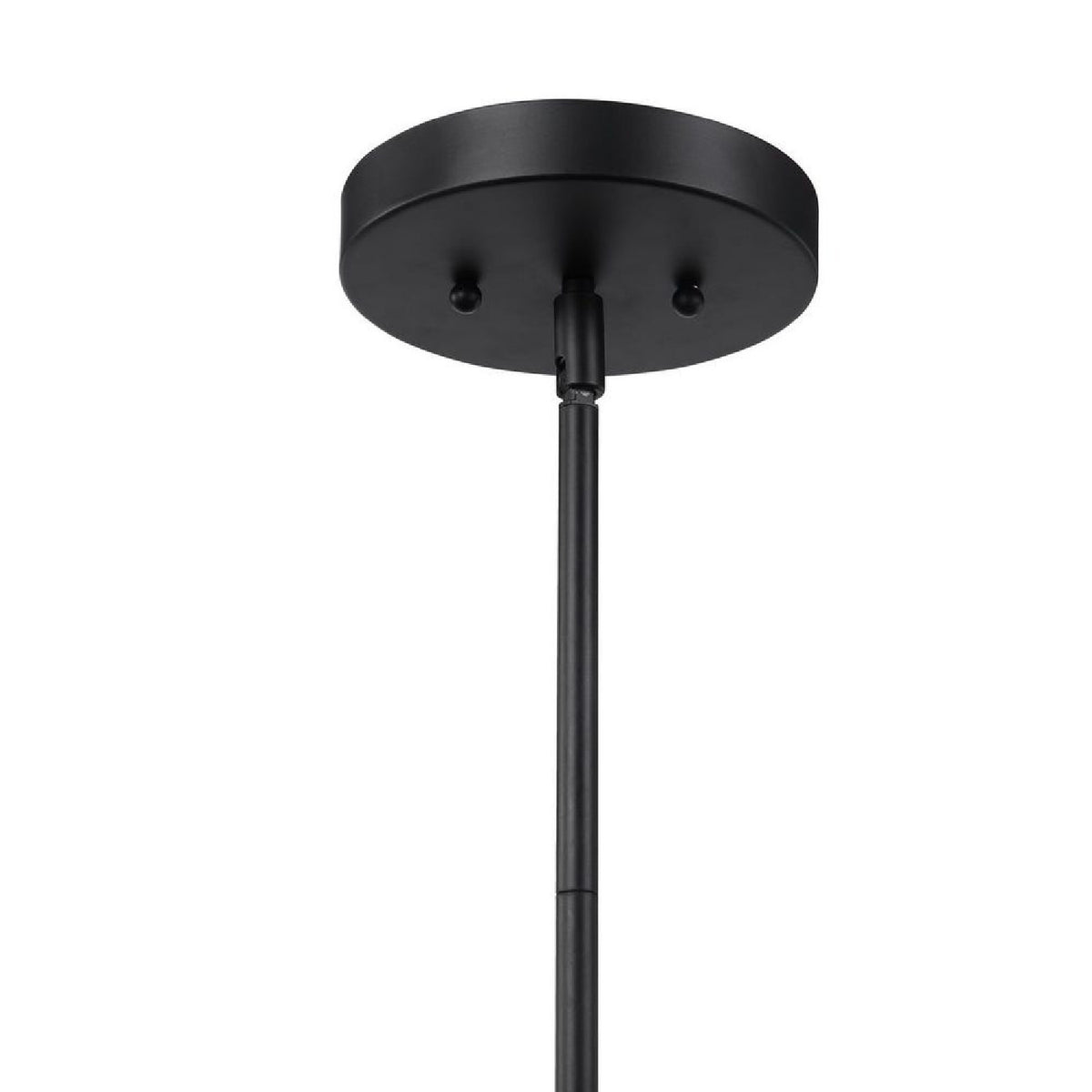 Modern European furniture - Black Metal Pendant Lamp - www.oroa.com