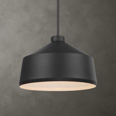 Modern European furniture - Black Metal Pendant Lamp - www.oroa.com