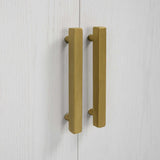 Modern European furniture - 2-Door Oak Veneer Cabinet - www.oroa.com