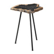 Petrified Wood Accent Table by Uttermost Mircea
