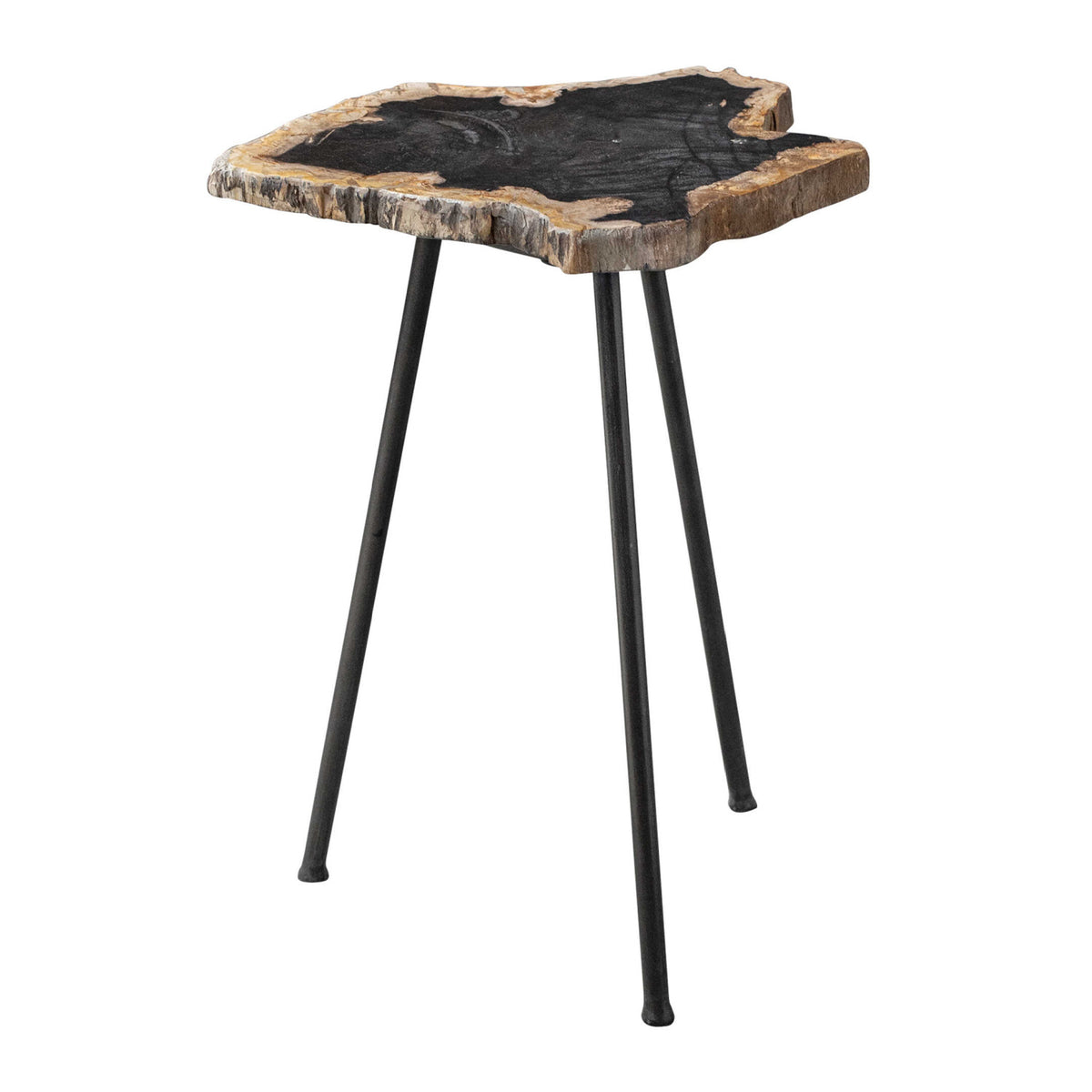Petrified Wood Accent Table by Uttermost Mircea