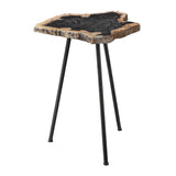 Petrified Wood Accent Table by Uttermost Mircea