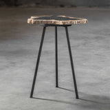Petrified Wood Accent Table by Uttermost Mircea, alternate view 3