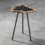 Petrified Wood Accent Table by Uttermost Mircea, alternate view 5