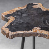 Petrified Wood Accent Table by Uttermost Mircea, alternate view 6