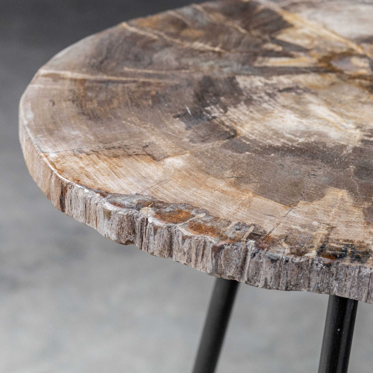 Petrified Wood Accent Table by Uttermost Mircea, alternate view 7