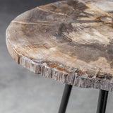 Petrified Wood Accent Table by Uttermost Mircea, alternate view 7