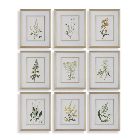 Modern European furniture - Contemporary Floral Art Prints (9) - www.oroa.com