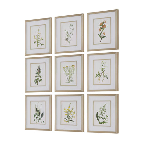Modern European furniture - Contemporary Floral Art Prints (9) - www.oroa.com