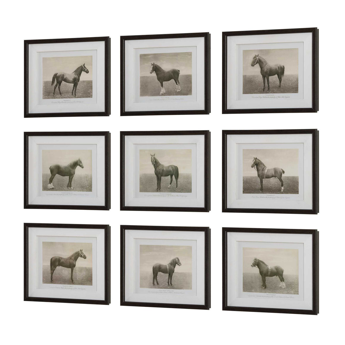 Horse Sketch Art Prints (9) | Uttermost Equine Dynasty