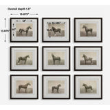 Horse Sketch Art Prints (9) | Uttermost Equine Dynasty
