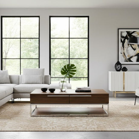 Walnut Veneer 2-Drawer Coffee Table | OROA Modern Heloise