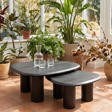 Freeform Ash Coffee Table Set (2) | OROA Modern Summit