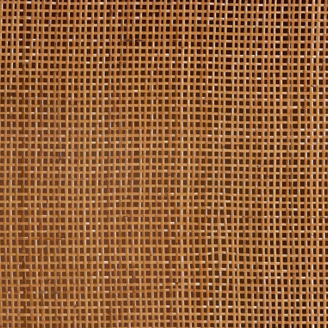 Modern European furniture - Arched Rattan Accent Cabinet - www.oroa.com