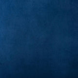 Modern European furniture - Blue Fabric Accent Chair - www.oroa.com