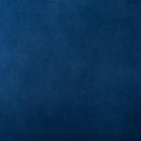 Modern European furniture - Blue Fabric Accent Chair - www.oroa.com