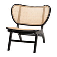 Modern European furniture - Black Mahogany Accent Chair - www.oroa.com