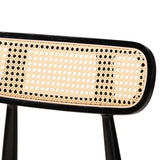 Modern European furniture - Black Wooden Dining Chairs 2 - www.oroa.com