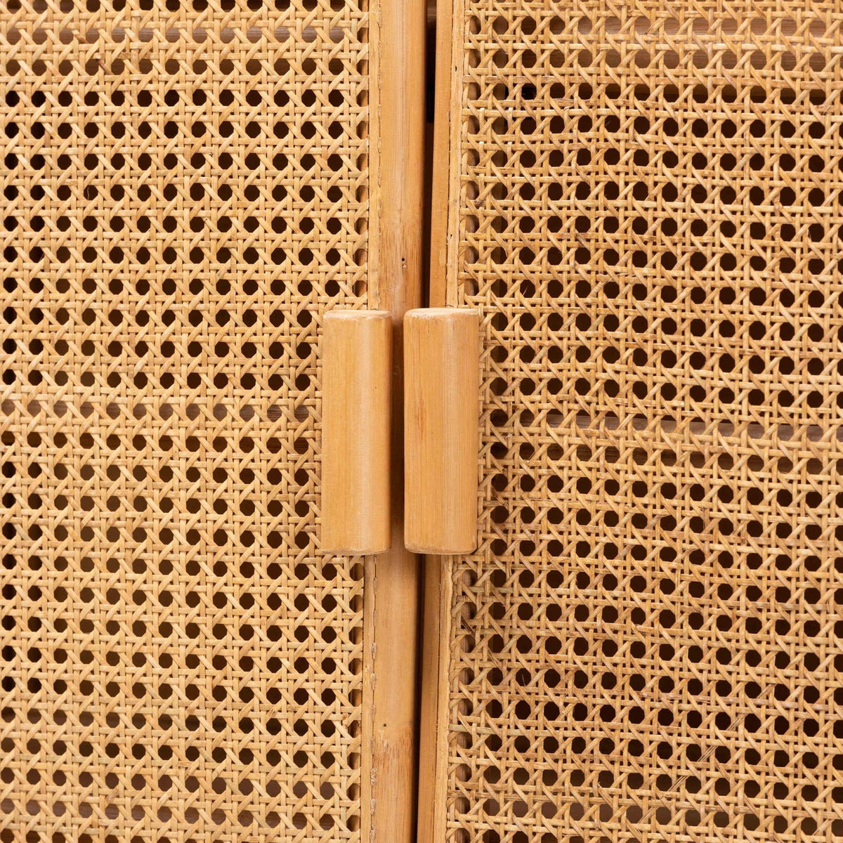 Modern European furniture - Rattan Bohemian Storage Cabinet - www.oroa.com