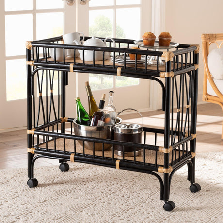 Modern European furniture - Black 2-Tier Kitchen Cart - www.oroa.com