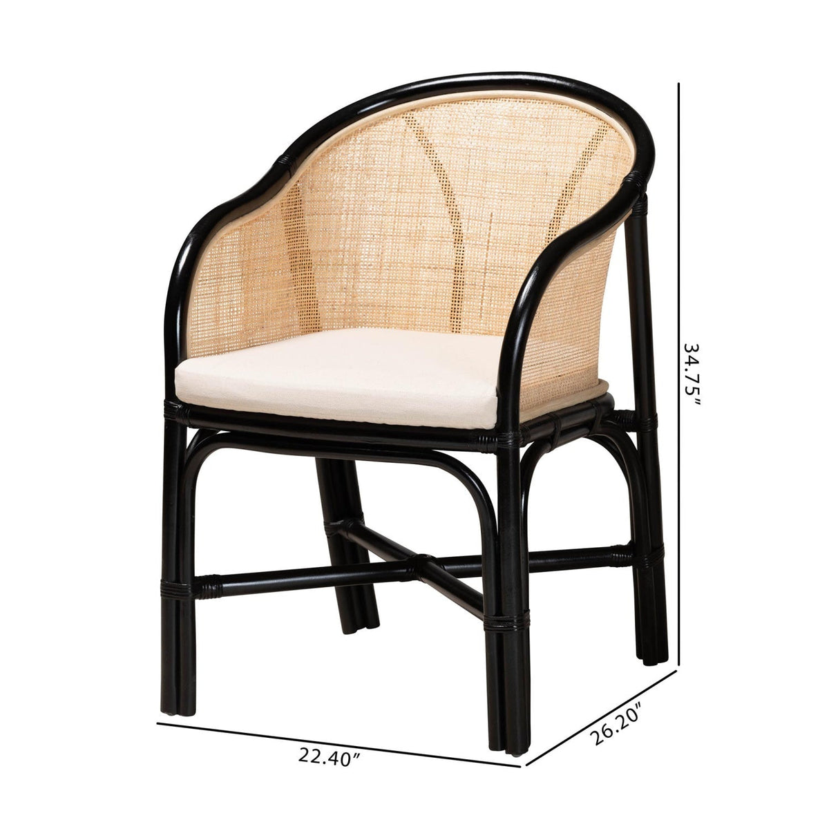 Modern European furniture - Black Framed Rattan Dining Chairs 2 - www.oroa.com