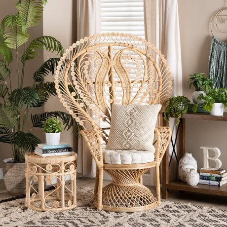 Modern European furniture - Rattan Indoor Semi Outdoor Peacock Accent Chair - www.oroa.com
