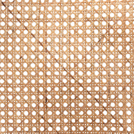 Modern European furniture - Black Framed Rattan Dining Chair - www.oroa.com