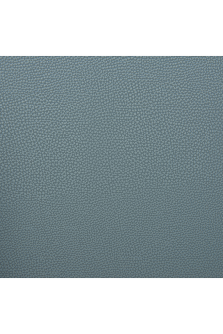 Leather Dining Chairs (2) | OROA Modern Desi | Oroa.com