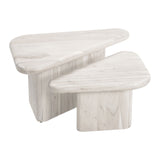 Whitewashed Acacia Coffee Table Set | OROA Modern Navidic