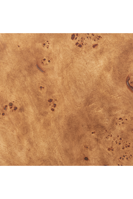 Burl Veneer 2-Layer Side Table | OROA Modern Adna | Oroa.com