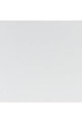 Polished Steel Office Chairs (2) | OROA Modern Plus | Oroa.com